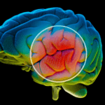 The Role of Autophagy in Parkinson’s Disease